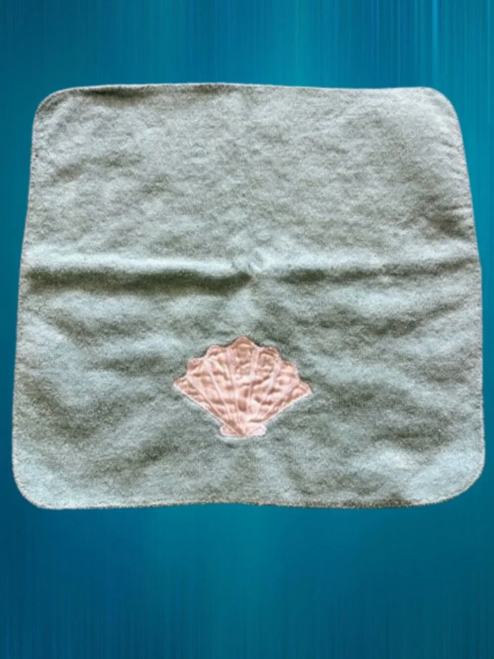Coordinated Pair of Seashell Themed Washcloth Towels